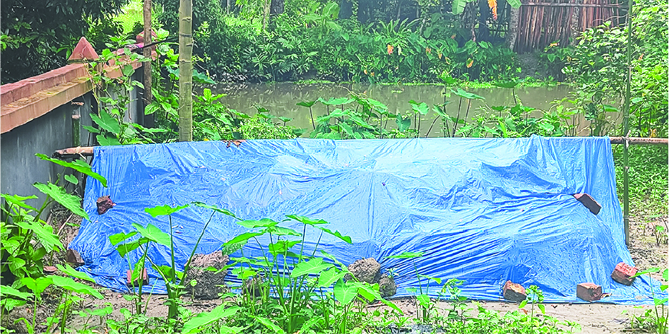 Image of মো: আল-আমিন 
